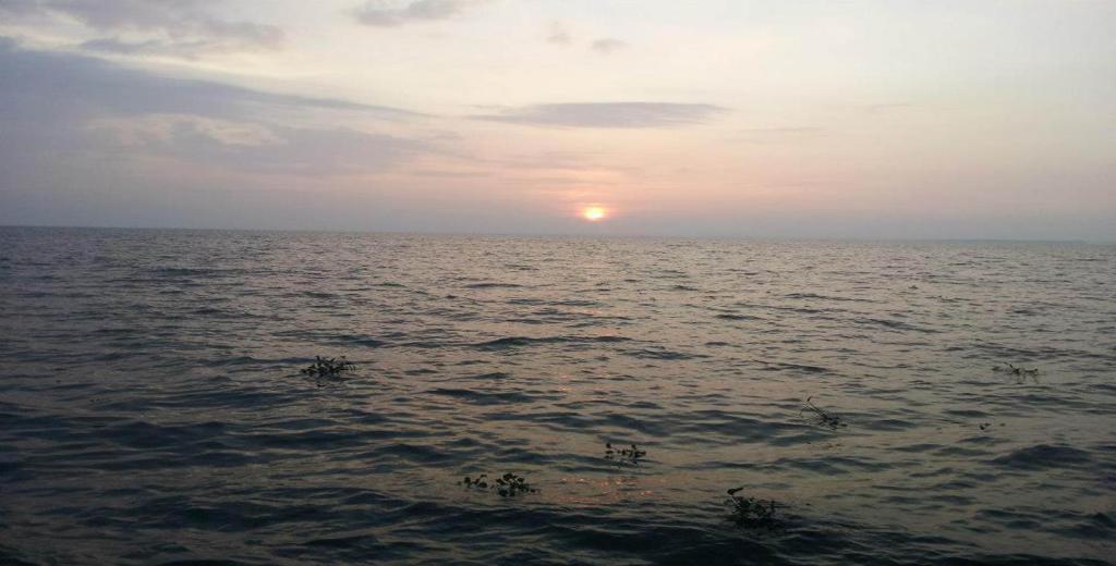 Saro Lake County Kumarakom Buitenkant foto
